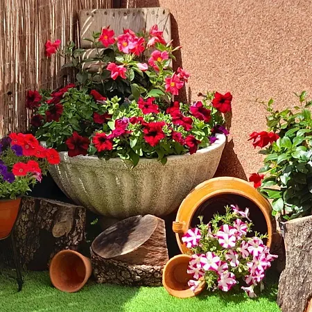 El Trastero De Carmelo Maello