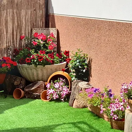 El Trastero De Carmelo * Maello