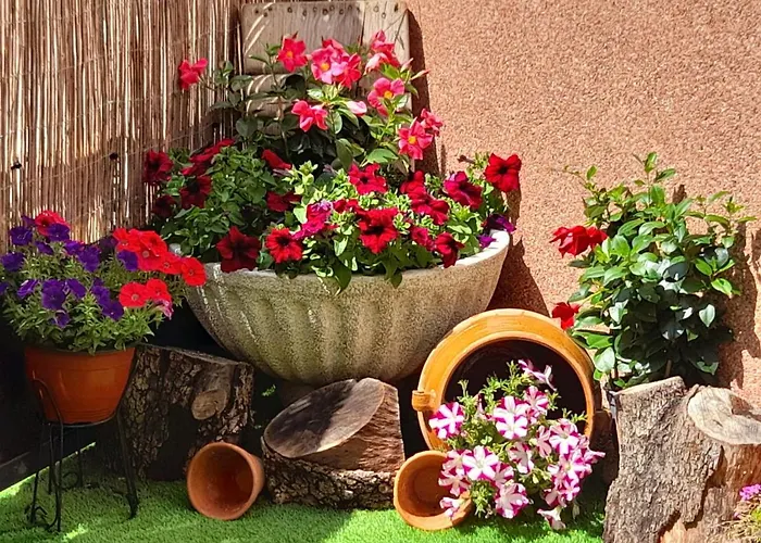 El Trastero De Carmelo Maello