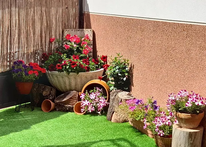 El Trastero De Carmelo * Maello